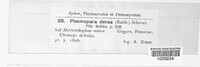 Plasmopara densa image